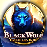 Trò chơi Slot phổ biến
